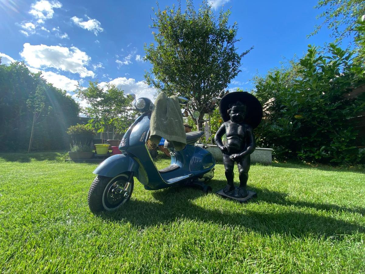 Le Jardin De Sophie Grammont